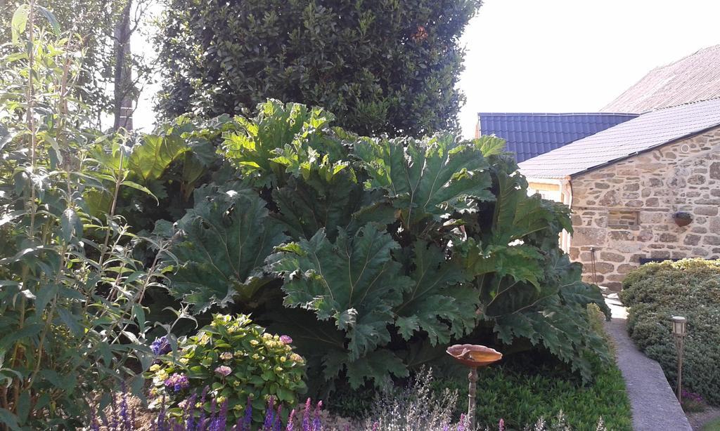 Bed and Breakfast Ti-Maes Briec Esterno foto